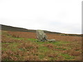 SH5461 : Ancient path and standing stone above Parc-y-Gleision by Eric Jones