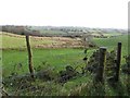 Mount Stewart Townland