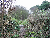 TR2953 : Entrance to Black Lane (footpath) from Thornton lane by Nick Smith