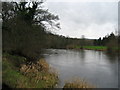 Beside the River Wharfe opposite Ilkley Golf Club