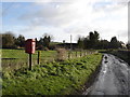 The lane at Monkton Up Wimborne