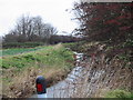 View of the dike next to Royal St George