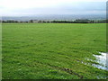 Field near Brackenthwaite