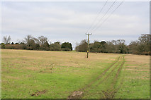 SU5735 : Gap in Northfield Plantation, nr Abbotstone by Peter Facey