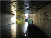 SJ4266 : Under the A51 by Phil Williams