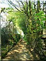 Path from Golcar to Longwood.