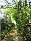 SE1016 : Path from Golcar to Longwood. by Andrew Loughran