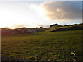 Evening approaches over pasture land near Little Kilry