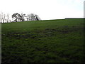 Hill outside Wimborne St Giles