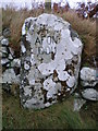 Afon Ddu entrance.