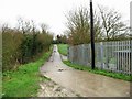 Looking back along lane from pumping station, Minster Marshes.