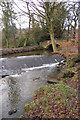 Meanwood Beck, Leeds