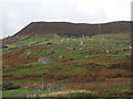 Highland Clearance Croft Settlement