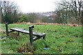 Seat, Alexandra Park