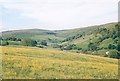 The Skeb Skeugh valley near Angram