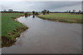 The River Lagan near Moira