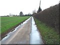 Looking NW along lane towards Guston Farm.