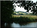 View from beside Sandways Bridge towards Southover Bottom