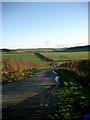 Country road near Longhouse