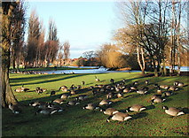 TA0527 : Pickering Park, Hull by Paul Glazzard