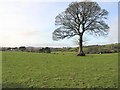 Cloghoge Townland