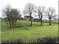 Cloghoge Townland