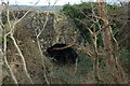 Old river bridge near Templepatrick