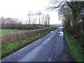 Road at Kilberry