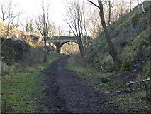 SK5264 : Pleasley Vale - Disused Railway Track Walk by Alan Heardman