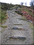 SJ1663 : Stairway to Moel Famau by John S Turner