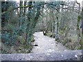 River Alyn Upstream from Pont Newydd