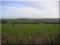 Across the valley toward Birdlip