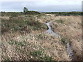 Rhos y Clegyrn, moor and stone