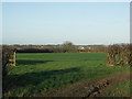 SP6492 : View across fields towards Fleckney. by Richard Williams