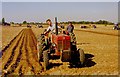 TF9322 : Vintage Tractor Meet by John Robertson