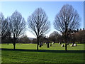 Millennium Stone Circle, Hilly Fields