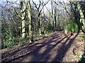 Path by Moorgreen reservoir