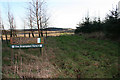 Borrohill Woods looking southwards.