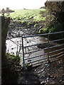 Wet gateway at Berry Farm