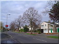 Towards the east end of Brickhill Drive