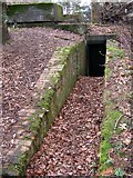 SU1608 : Second World War bunker in Newlands Plantation, New Forest by Jim Champion