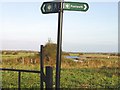 Footpath finger post where path joins Wass Drove.