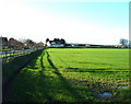 Farmland near Shotatton