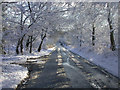 Legsheath Lane in the Snow