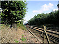 Brighton Line with steam special