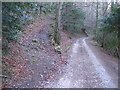 Footpath and Track at Nant Alyn