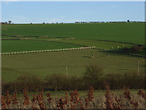 SU3380 : Farmland near Lambourn by Andrew Smith
