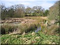 Large Pond near Stryt-cae-rhedyn.