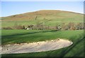 The 1st green at Galashiels Golf Course