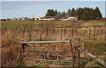 NJ4655 : Deerhill Farm by Anne Burgess